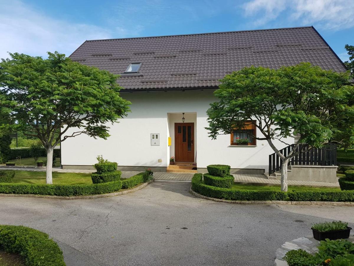 Apartment Lena Gornji Vaganac Kültér fotó